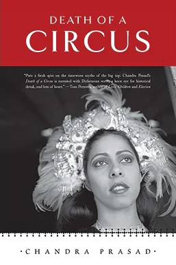 Death of a Circus book cover